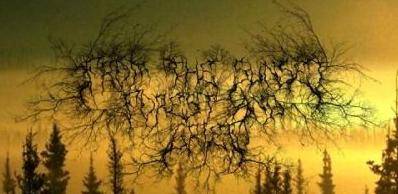 logo From The Sunset, Forest And Grief logo From The Sunset, Forest And Grief